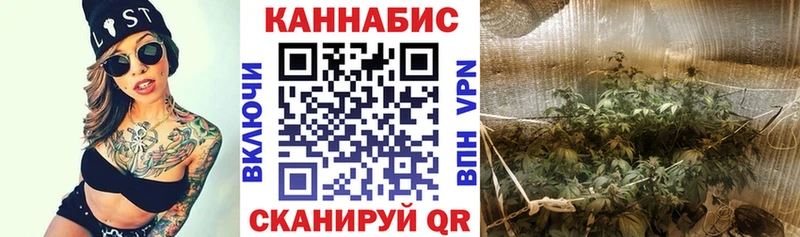 Бошки Шишки тримм Севск
